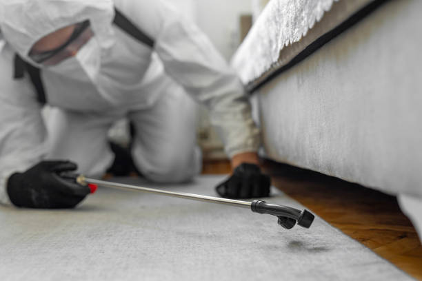 Professional Cockroach Control technician working in Williston Highlands, FL