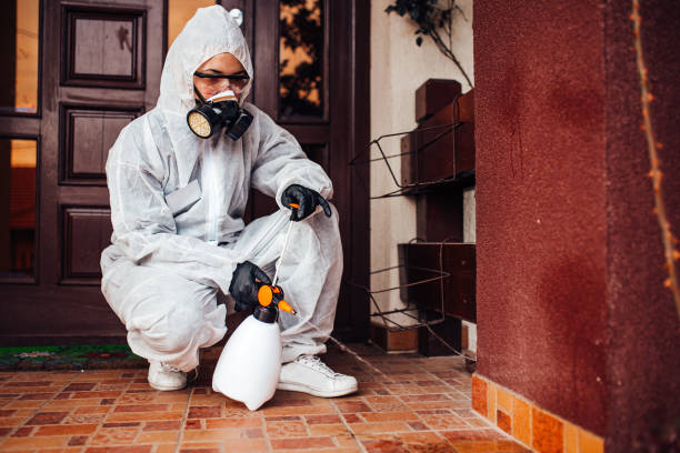 Reliable Cockroach Control contractor in Williston Highlands, FL by Nex Pest Control